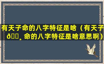 有天子命的八字特征是啥（有天子 🌸 命的八字特征是啥意思啊）